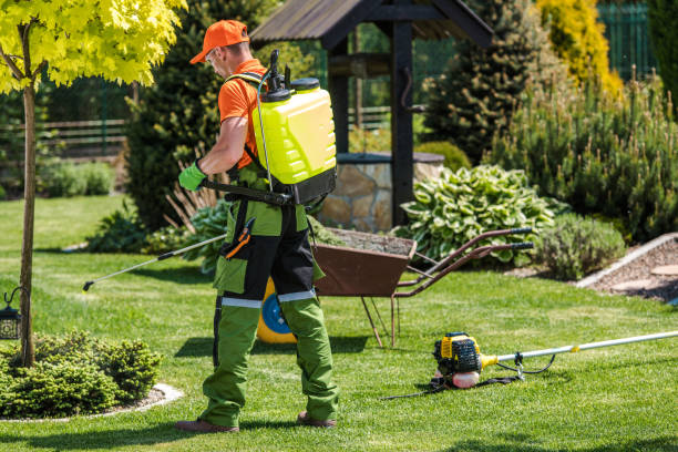 Best Fumigation Services  in Orient, NY